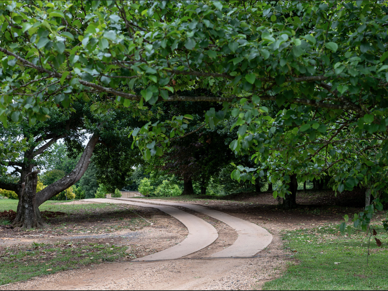 A scenic view of a curved concrete driveway winding through a lush, tree-lined garden area on the residential property.