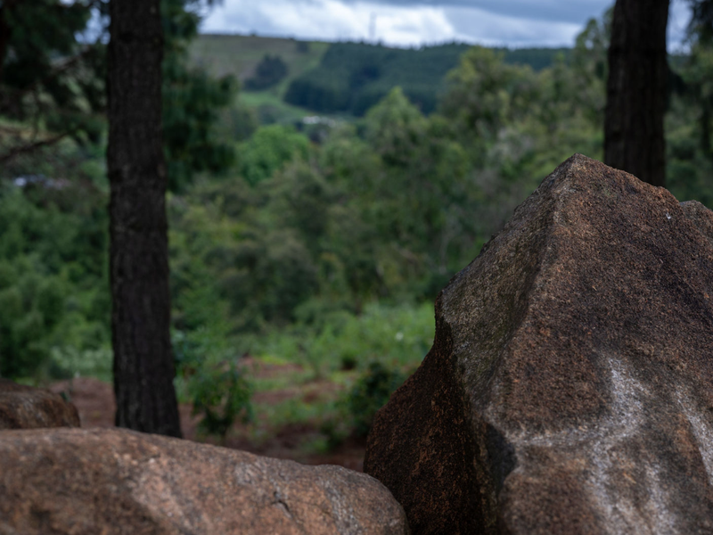 A scenic view of the natural landscape featuring mature trees and prominent rock formations on the property.