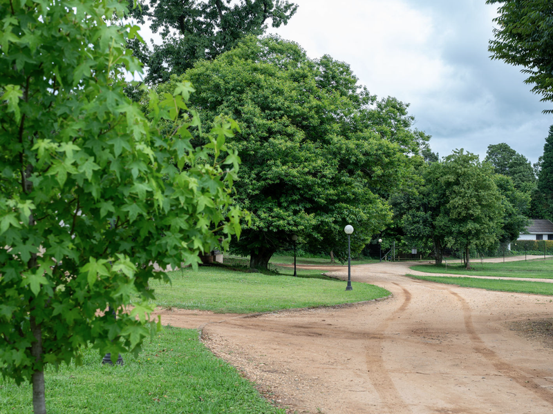 A scenic view of a well-maintained garden area featuring mature trees, a dirt driveway, and a stone retaining wall on a residential property.