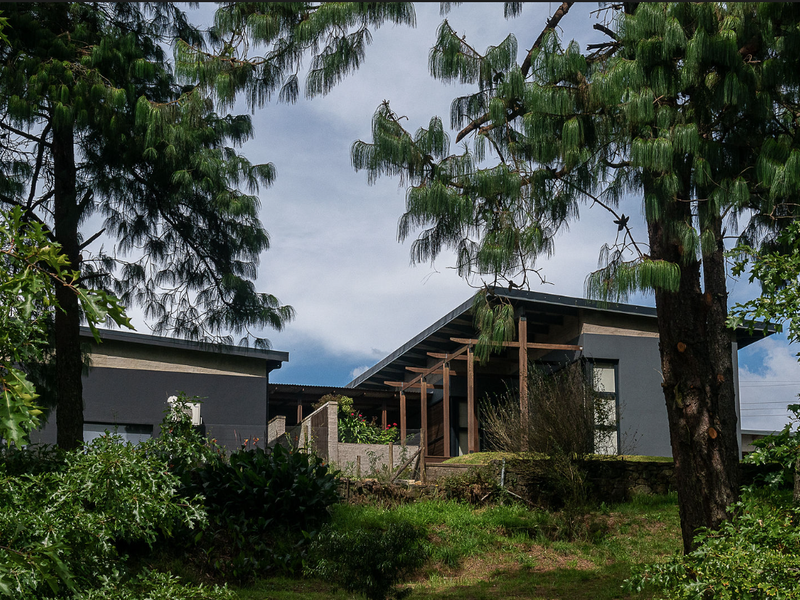 A view of the rear elevation of a modern residence featuring a timber pergola and stone retaining wall, set within a landscaped garden.