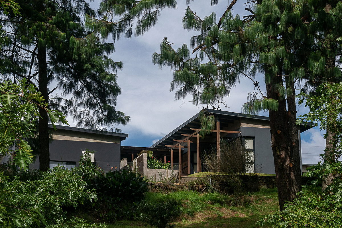A view of the rear elevation of a modern residence featuring a timber pergola and stone retaining wall, set within a landscaped garden.