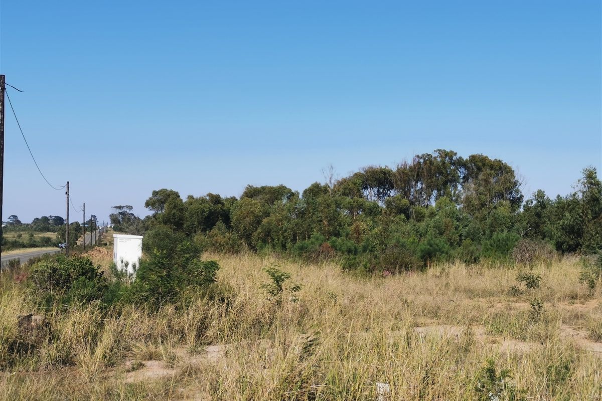 Superb Investment Opportunity - Photo 2