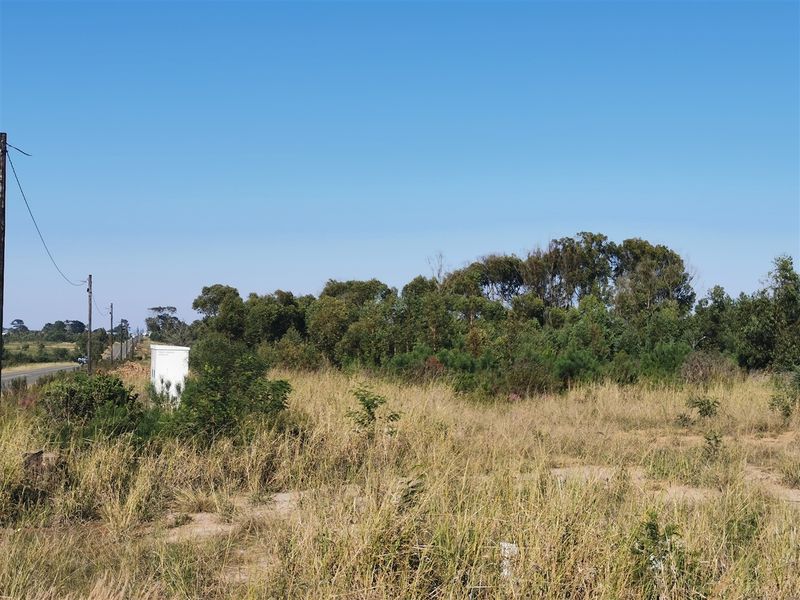 Superb Investment Opportunity - Photo 2