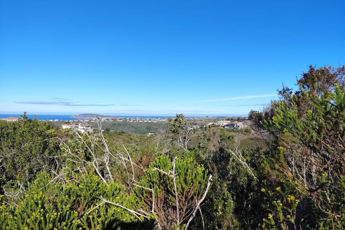 A scenic elevated view overlooking the surrounding coastal landscape and distant residential properties.