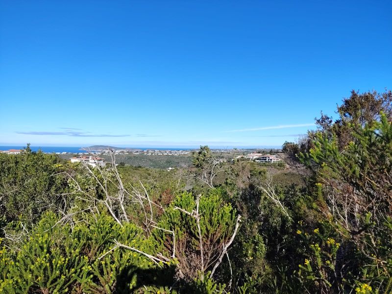 A scenic elevated view overlooking the surrounding coastal landscape and distant residential properties.