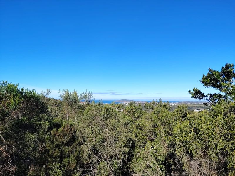 A scenic elevated view overlooking the coastal landscape and distant ocean horizon, showcasing the natural surroundings of the vacant residential land.