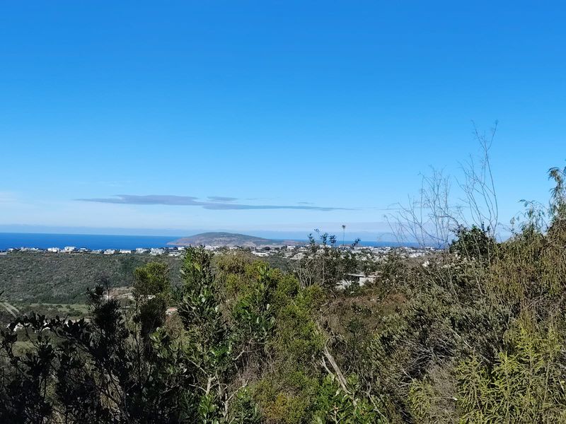 A scenic elevated view overlooking the coastal landscape, surrounding vegetation, and distant ocean horizon.
