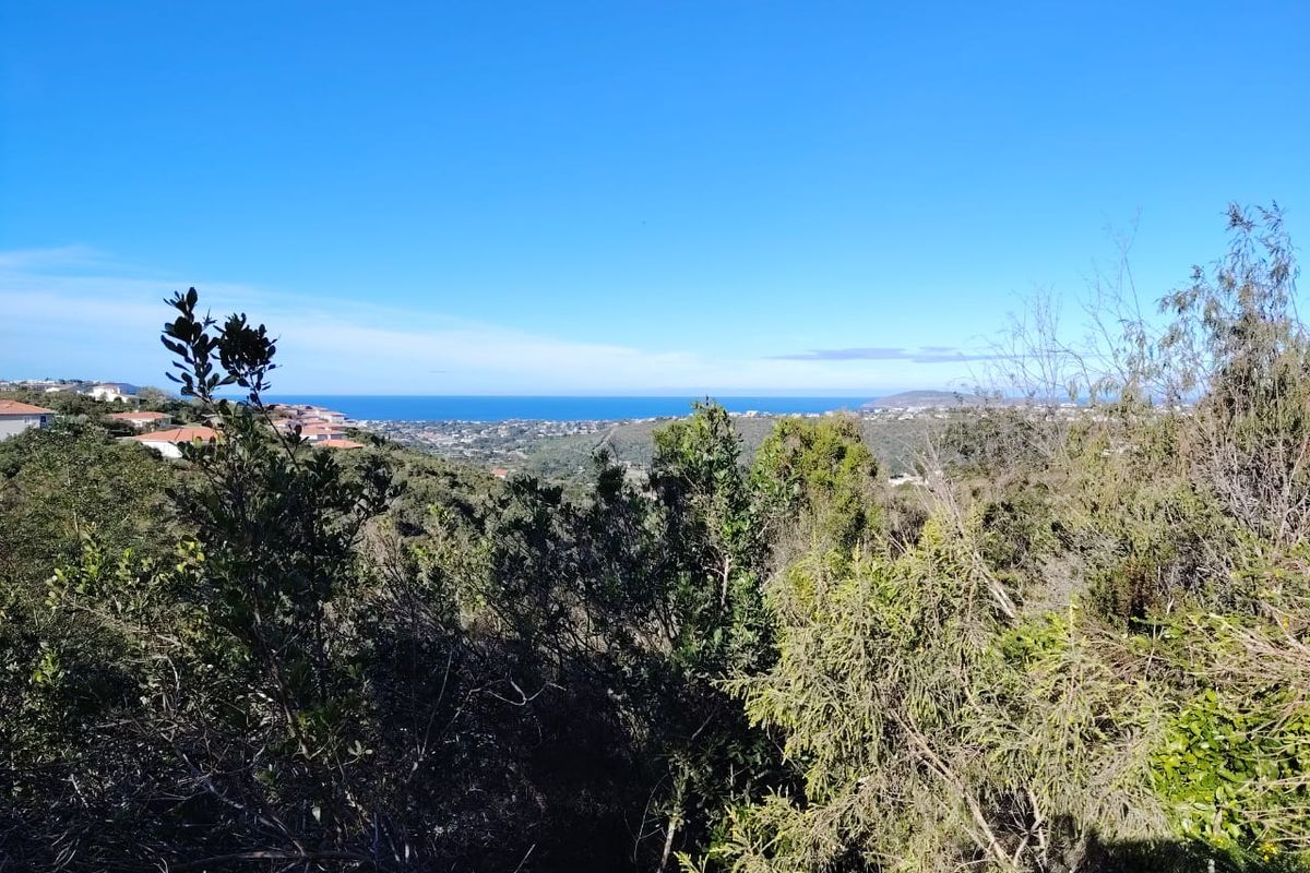 A scenic elevated view overlooking the surrounding landscape, native vegetation, and distant ocean horizon.