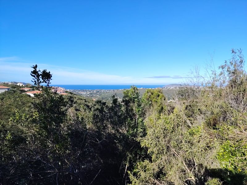 A scenic elevated view overlooking the surrounding landscape, native vegetation, and distant ocean horizon.