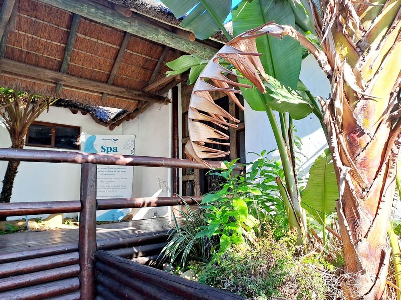 A Unique Two-Fold Opportunity for Development - Photo 3