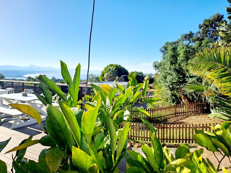 A Unique Two-Fold Opportunity for Development - Photo 2