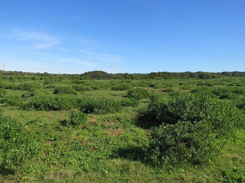 Bosfeld at the coast - Fisantekraal Eco Estate. - Photo 5