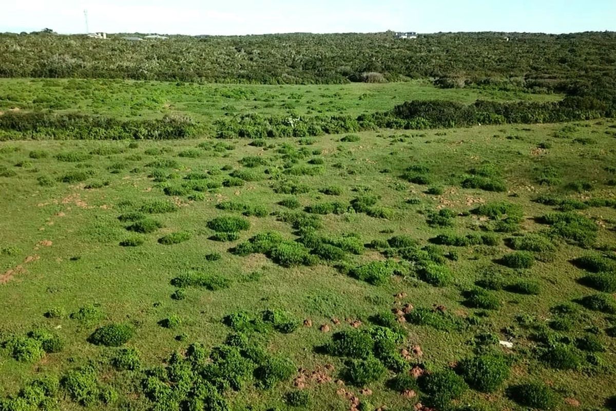 Bosfeld at the coast - Fisantekraal Eco Estate. - Photo 3