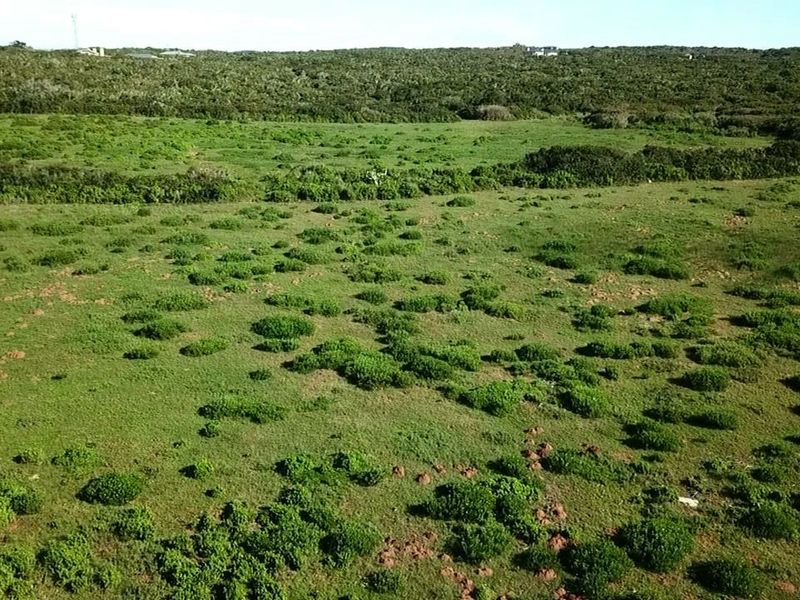 Bosfeld at the coast - Fisantekraal Eco Estate. - Photo 3