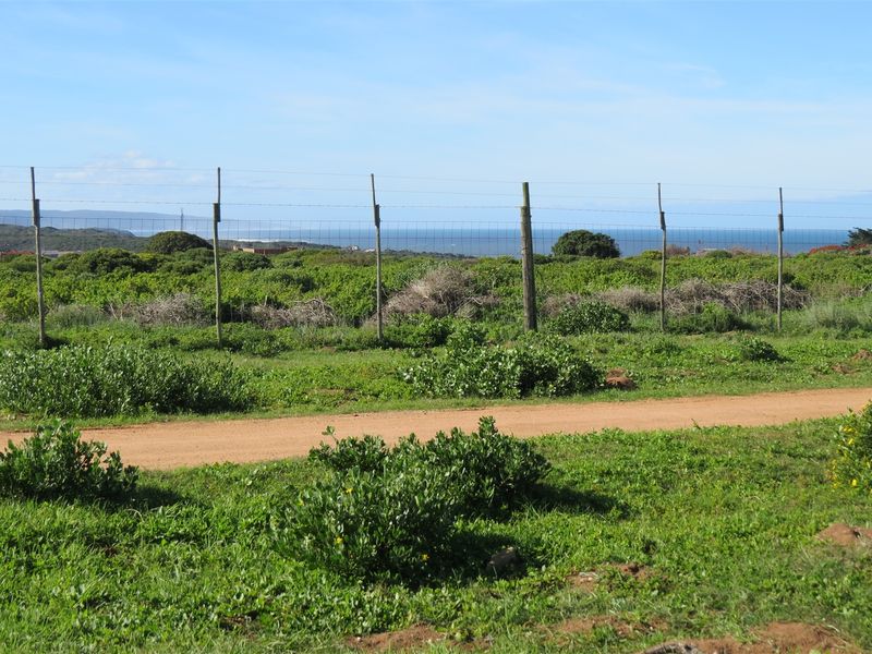 Bosfeld at the coast - Fisantekraal Eco Estate. - Photo 4
