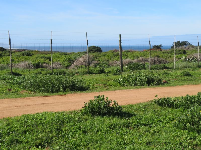 Bosfeld at the coast - Fisantekraal Eco Estate. - Photo 9