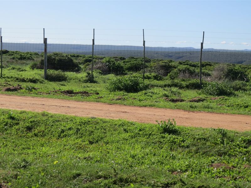 Bosfeld at the coast - Fisantekraal Eco Estate. - Photo 7