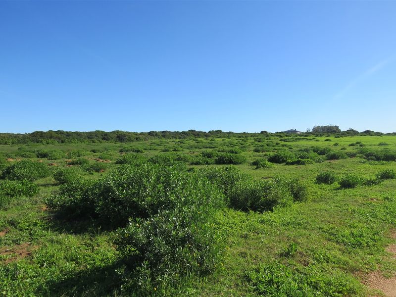 Bosfeld at the coast - Fisantekraal Eco Estate. - Photo 6