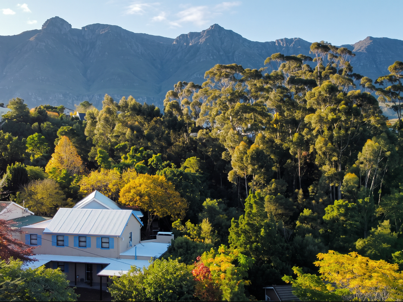 Aerial view of a residential property nestled in a lush, tree-filled landscape with a prominent mountain range in the background.