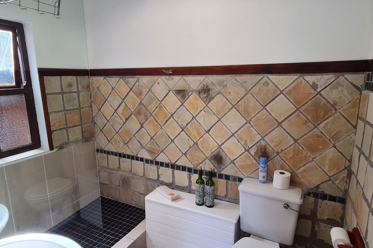 A dated bathroom featuring stone wall tiles, a standard toilet, and a window with wooden frames.