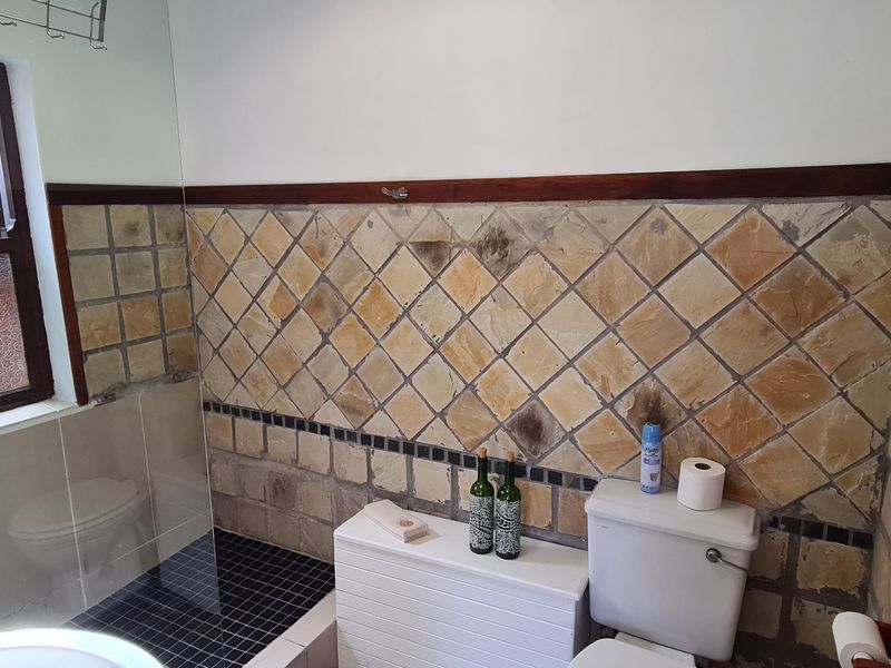 A dated bathroom featuring stone wall tiles, a standard toilet, and a window with wooden frames.