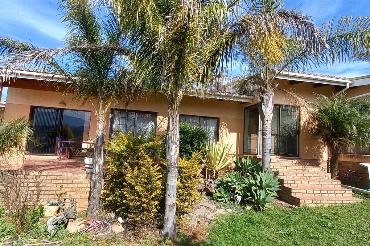 Rear view of the house featuring a covered patio, brick stairs, and established garden landscaping with mature palm trees.
