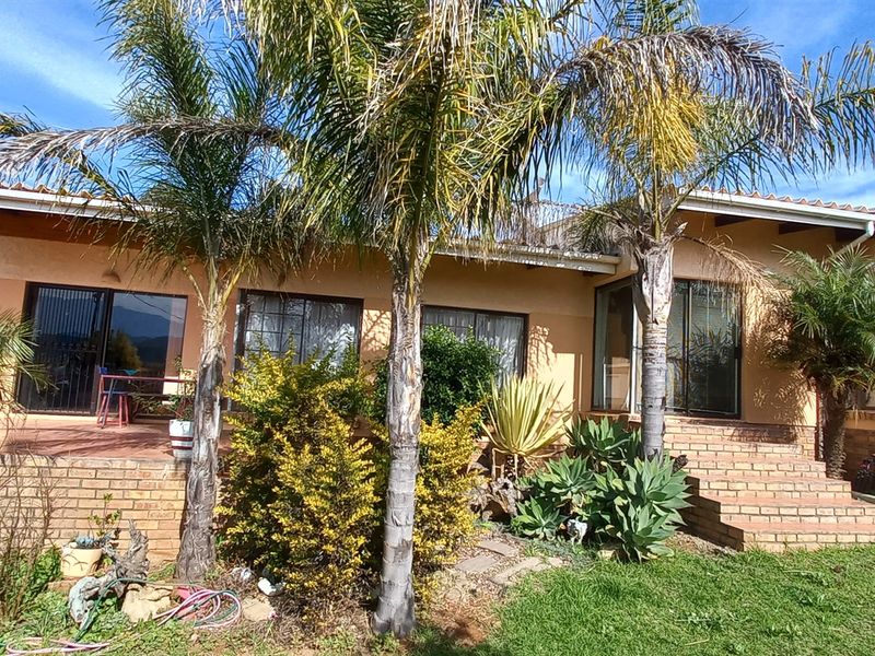 Rear view of the house featuring a covered patio, brick stairs, and established garden landscaping with mature palm trees.
