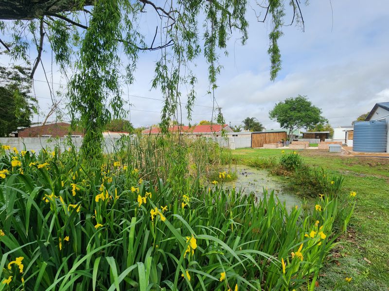 Vacant Land for Sale in Scenic Swellendam - Photo 9