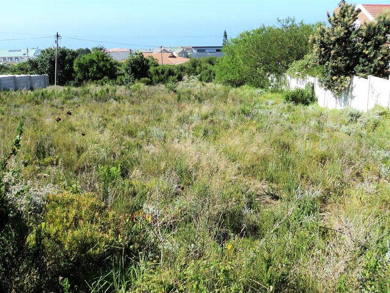 Vacant Land / Plot for sale in Dana Bay - Photo 4