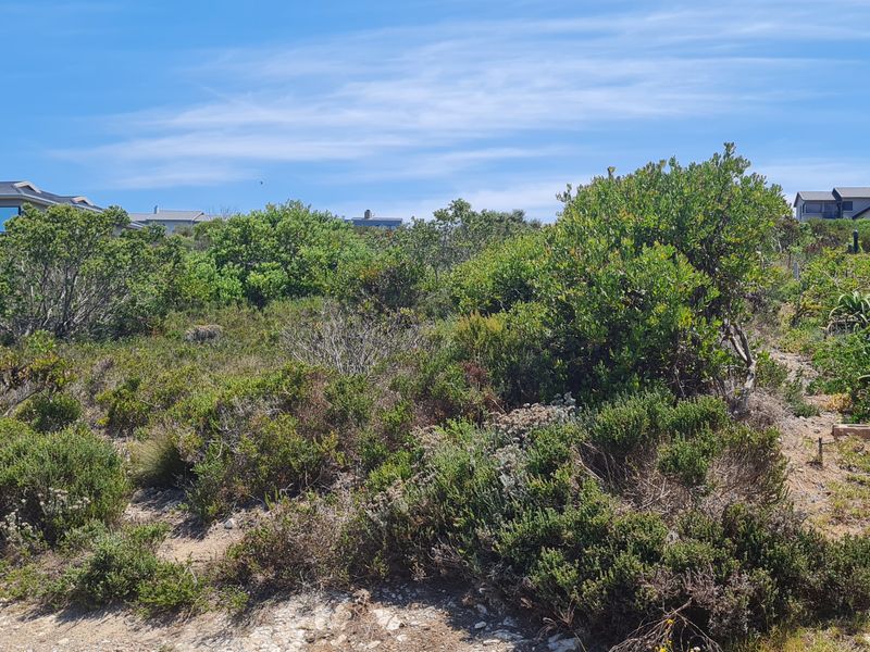 Hillside serenity - Photo 10