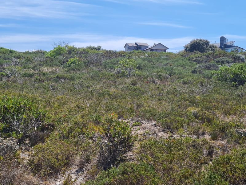 Hillside serenity - Photo 7