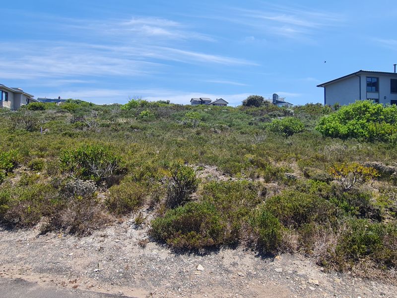 Hillside serenity - Photo 6