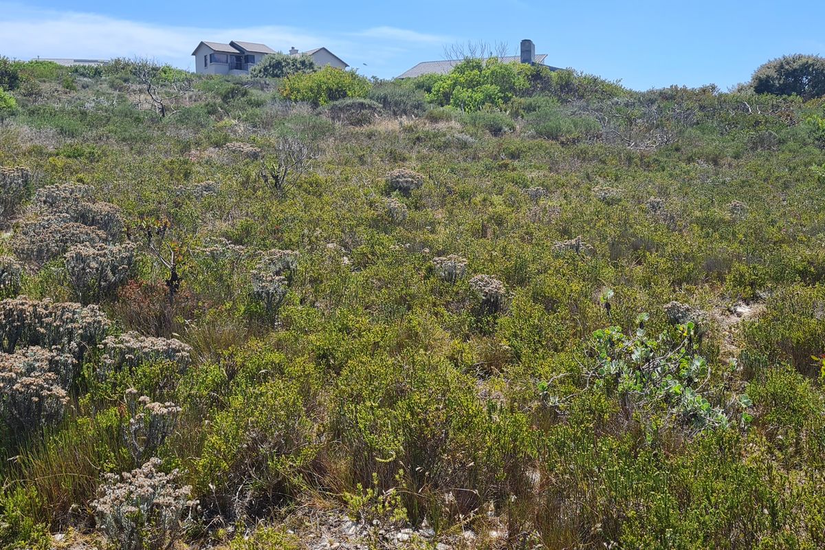 Hillside serenity - Photo 5