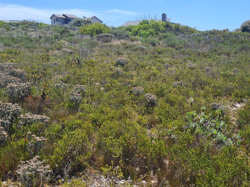 Hillside serenity - Photo 5