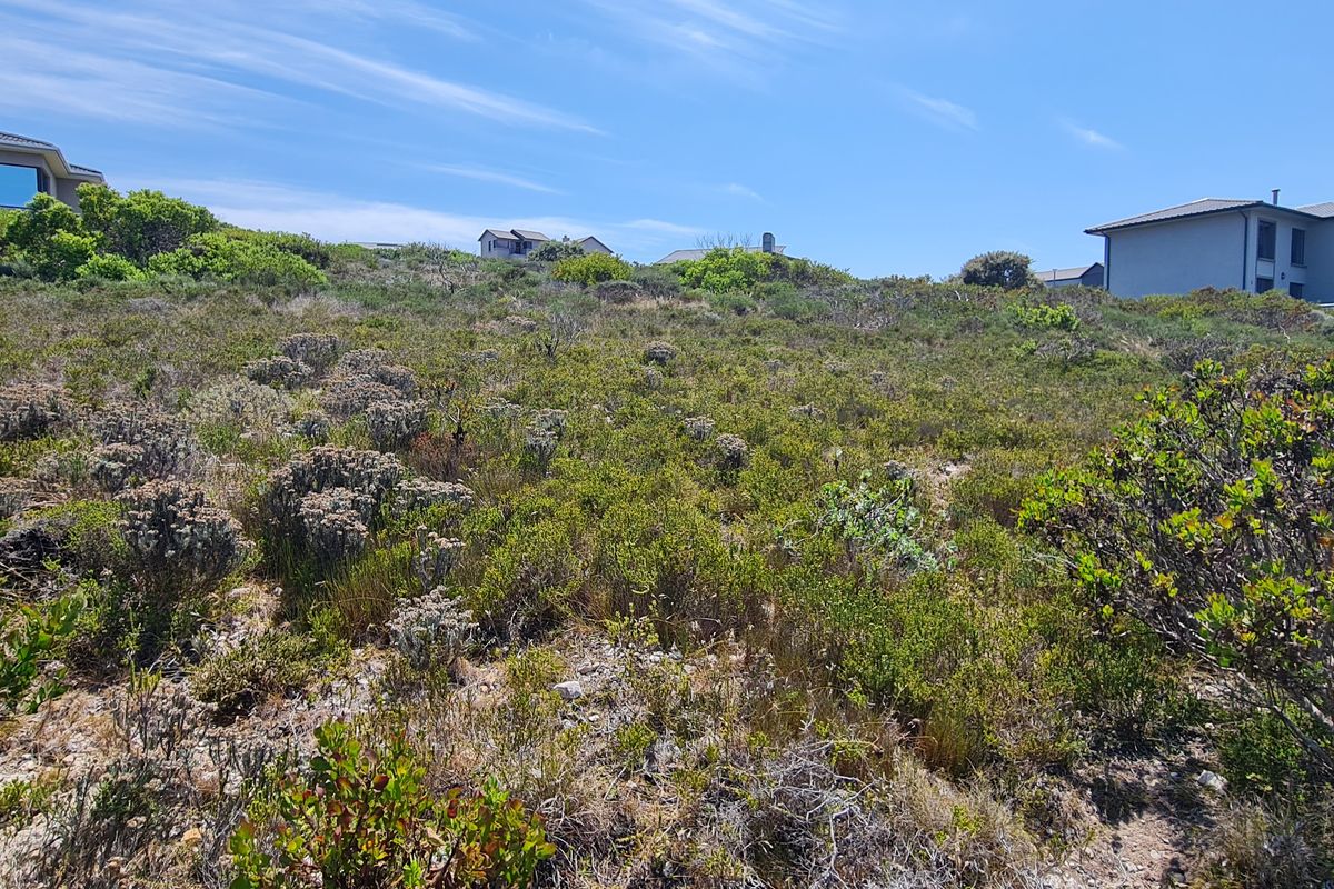 Hillside serenity - Photo 3