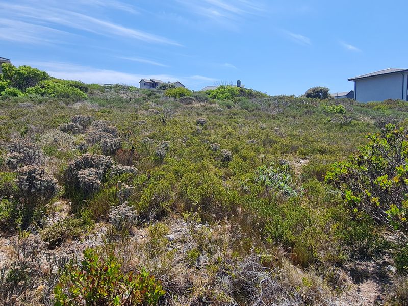 Hillside serenity - Photo 3