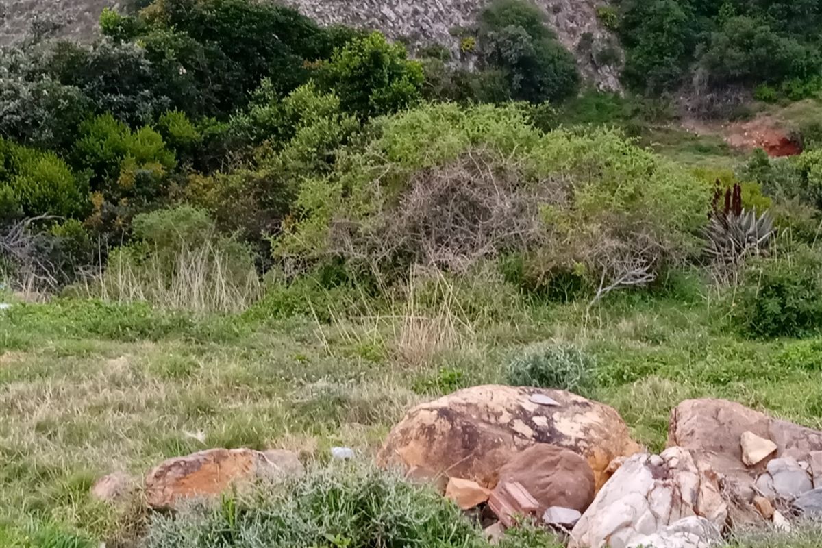 Prime Sea-View Stand in Mossel Bay Ext 26 – Approved Plans Included - Photo 4