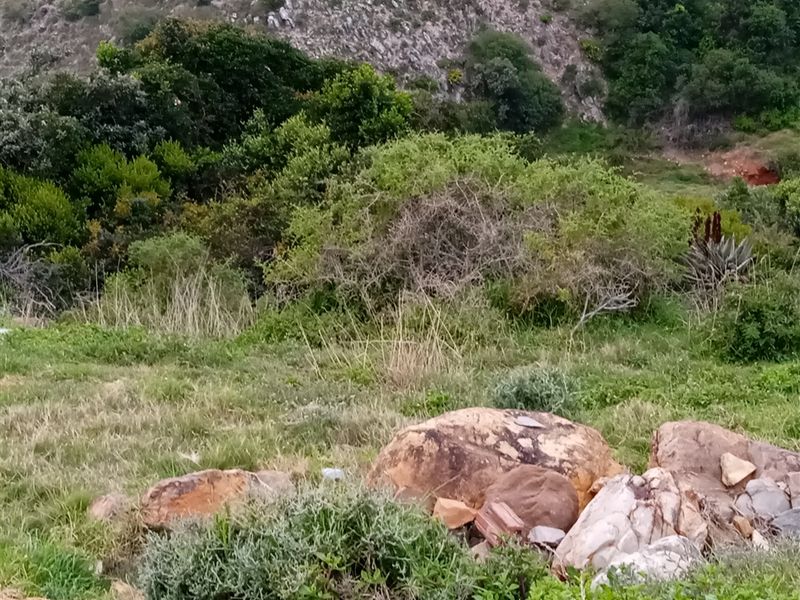 Prime Sea-View Stand in Mossel Bay Ext 26 – Approved Plans Included - Photo 4