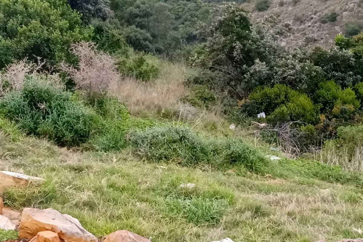 Prime Sea-View Stand in Mossel Bay Ext 26 – Approved Plans Included - Photo 3