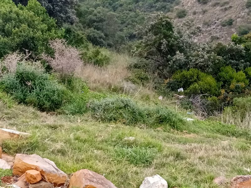 Prime Sea-View Stand in Mossel Bay Ext 26 – Approved Plans Included - Photo 3