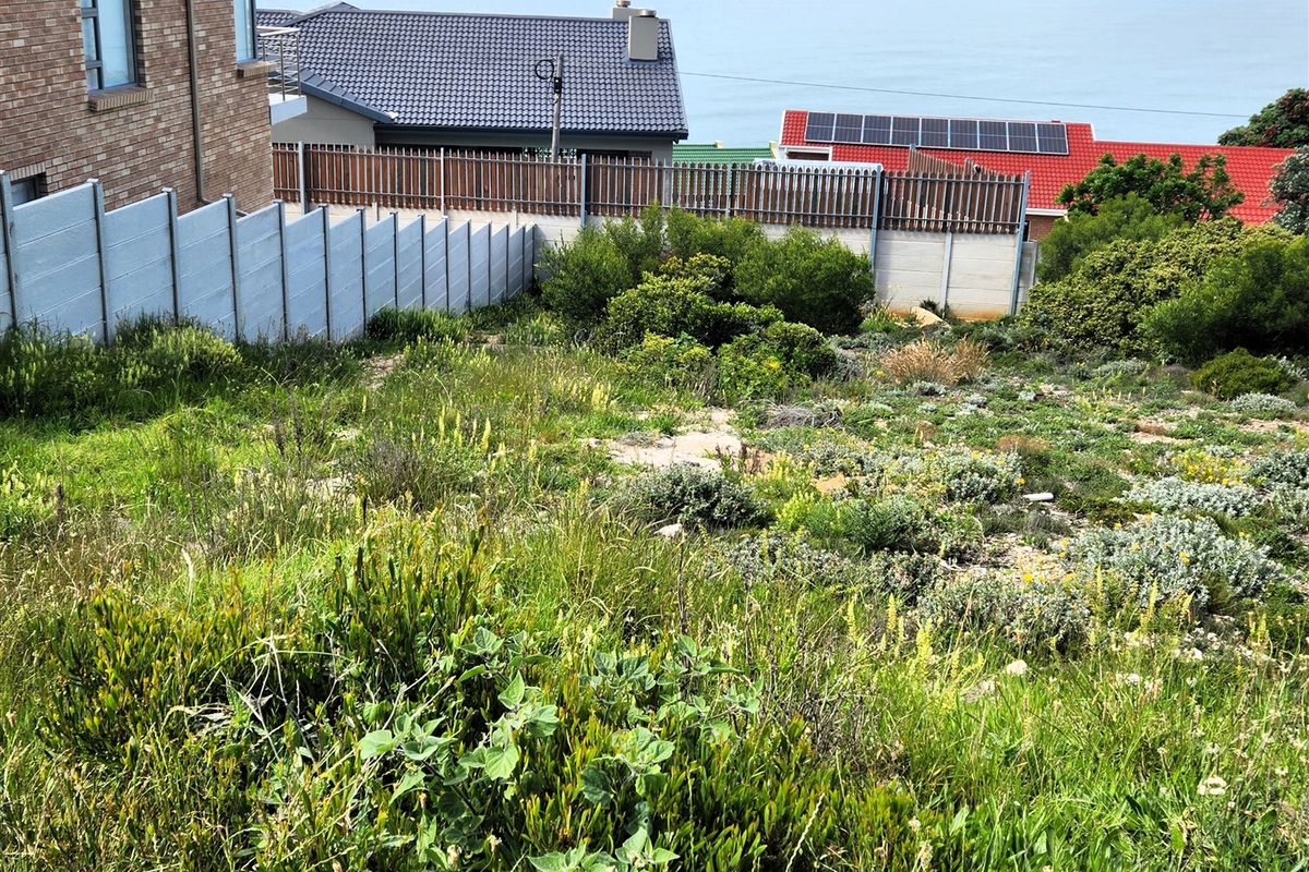 A sloped vacant residential plot featuring established coastal vegetation and precast concrete boundary walls, offering potential for development with ocean views.