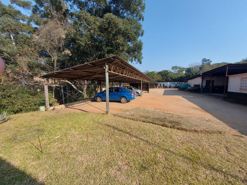 Outdoor area featuring a metal carport structure and an unpaved driveway adjacent to an industrial building.