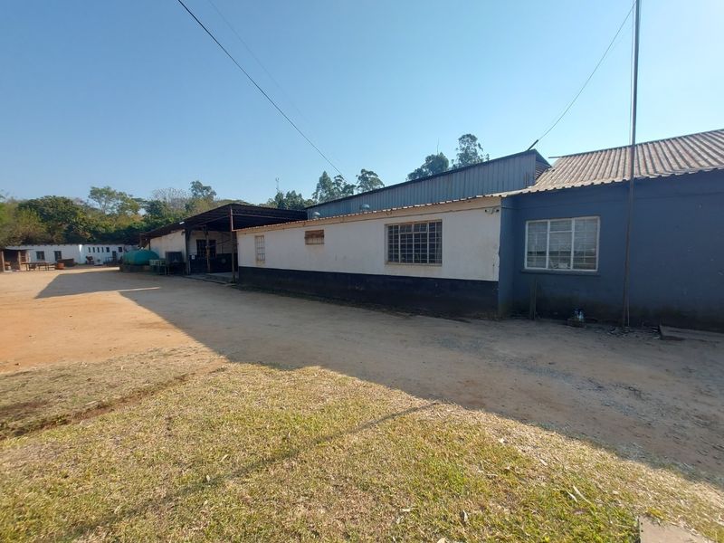 Rear exterior view of a commercial building featuring a corrugated metal roof, steel-framed windows, and a large open yard area.