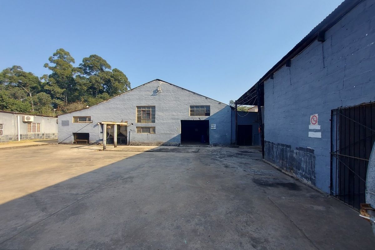 The property offers a blend of security, functionality and natural beauty. - Photo 4