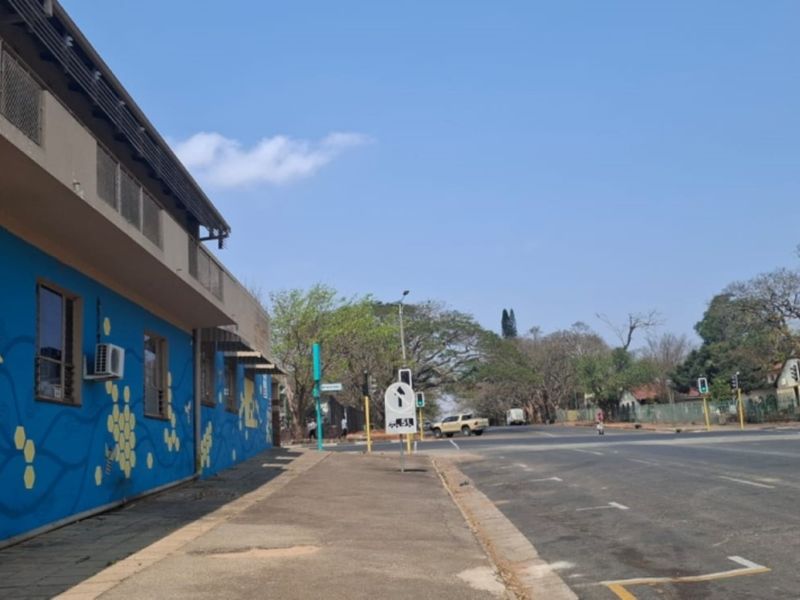 Street view showing the exterior facade of the commercial building with a painted mural and adjacent public pavement and road infrastructure.