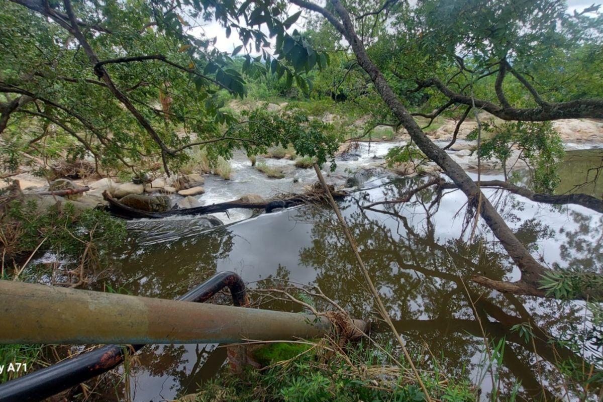 A natural view of a flowing river with rocky features and surrounding mature trees on the vacant commercial land.