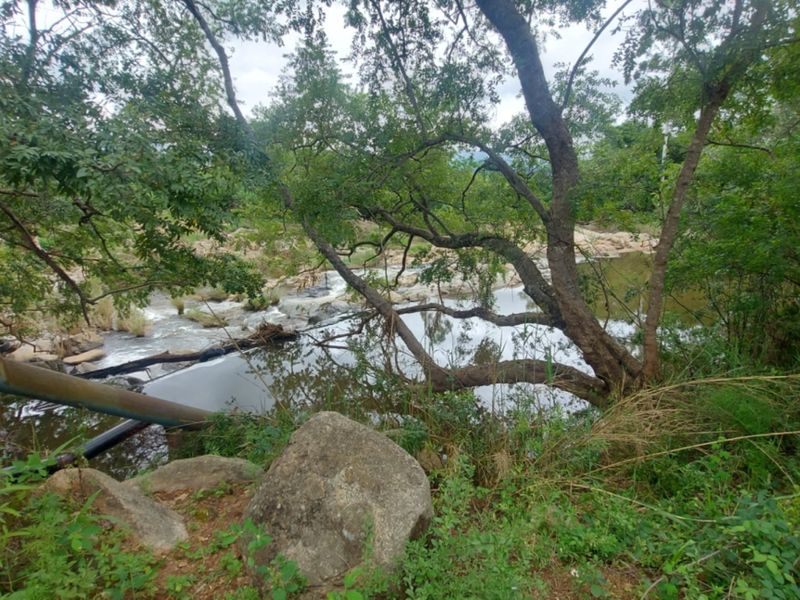 A natural view of a river flowing through the property, featuring mature trees, rocky banks, and dense vegetation.