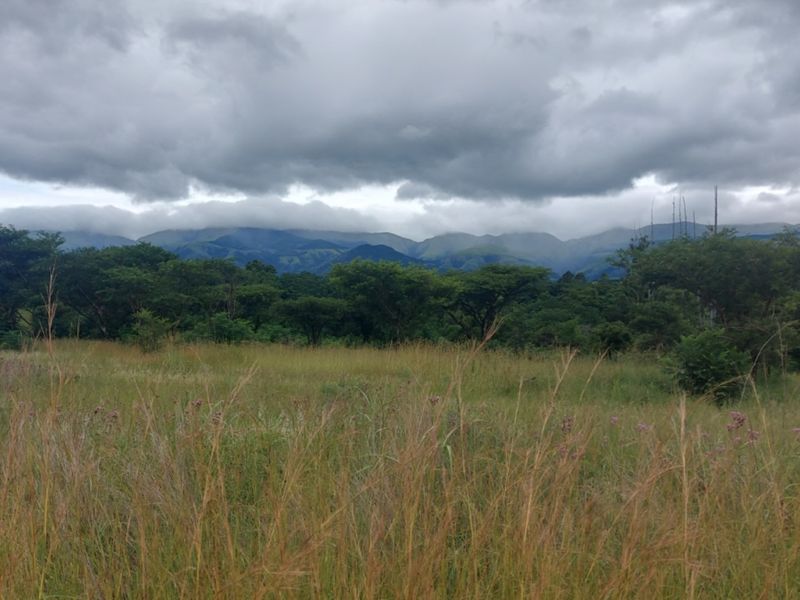 A scenic view of open grassland with native trees and a mountain range under a cloudy sky.