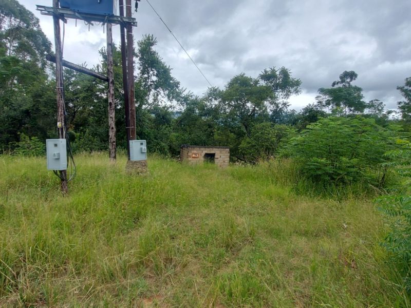 A view of a vacant commercial land plot featuring an electrical transformer, utility pole, and a small masonry utility structure amidst overgrown vegetation.