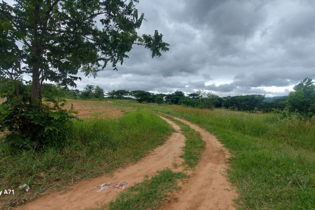 A view of an undeveloped commercial land plot featuring a dirt access road and natural vegetation under a cloudy sky.